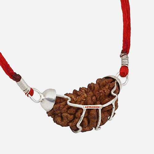 1 Mukhi Rudraksha