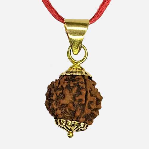 6 Mukhi  Rudraksha