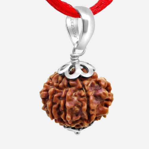 9 Mukhi  Rudraksha