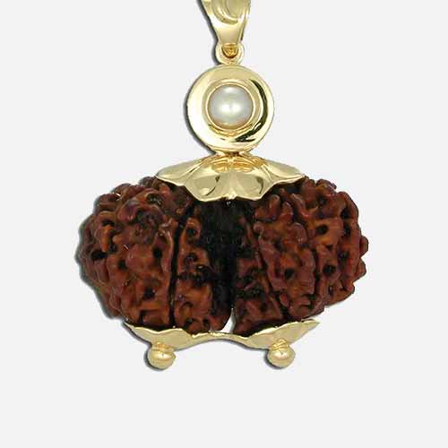 Gauri Shankar Rudraksha